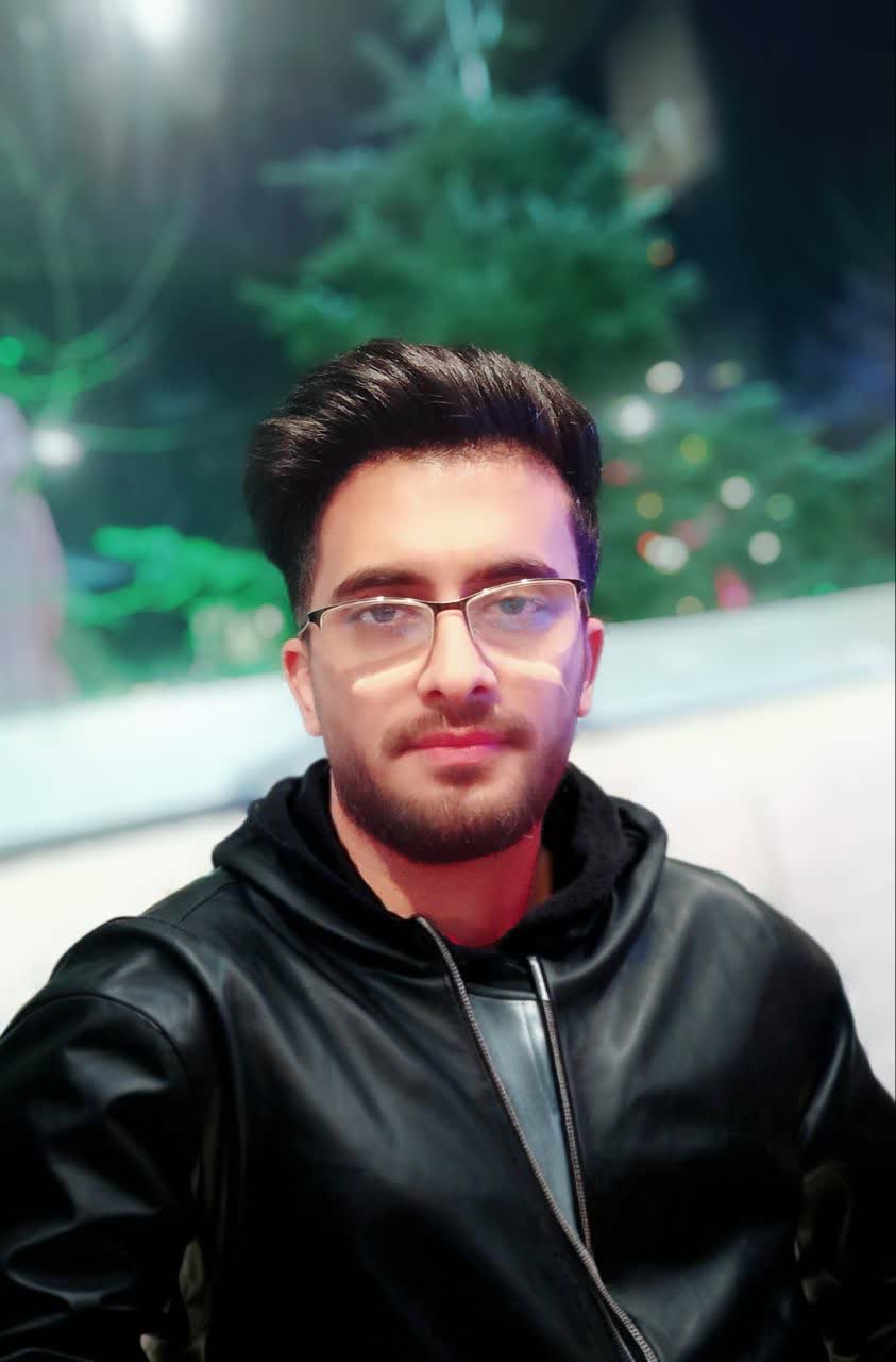 mohamadmahdi sepehripour